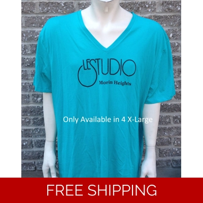 Le Studio Teal V-Neck shirt Black Front Logo M-H